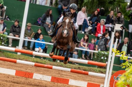 Posadas presentó el Torneo de Salto y Equitación Copa Ciudad como una nueva propuesta turística y deportiva imagen-2
