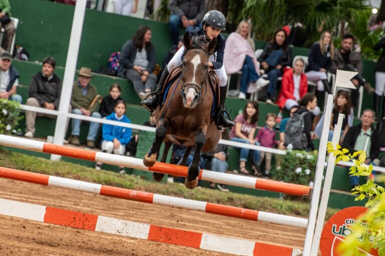 Posadas presentó el Torneo de Salto y Equitación Copa Ciudad como una nueva propuesta turística y deportiva imagen-2