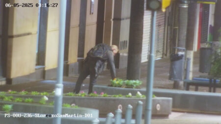 Captado en cámaras: detuvieron a «El Herborista» por robar plantas del centro de Posadas Captado en cámaras: detuvieron a "El Herborista" por robar plantas del centro de Posadas imagen-6