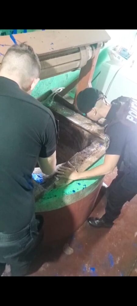 Tensión en un barrio de Oberá: rescataron a un pintor que cayó en un pozo de agua de 20 metros de profundidad Tensión en un barrio de Oberá: rescataron a un pintor que cayó en un pozo de agua de 20 metros de profundidad imagen-3