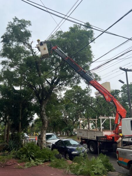 Con equipos, grúas y cortes de suministro preventivo, arrancó el operativo de poda para despejar y proteger la infraestructura eléctrica en Posadas imagen-5