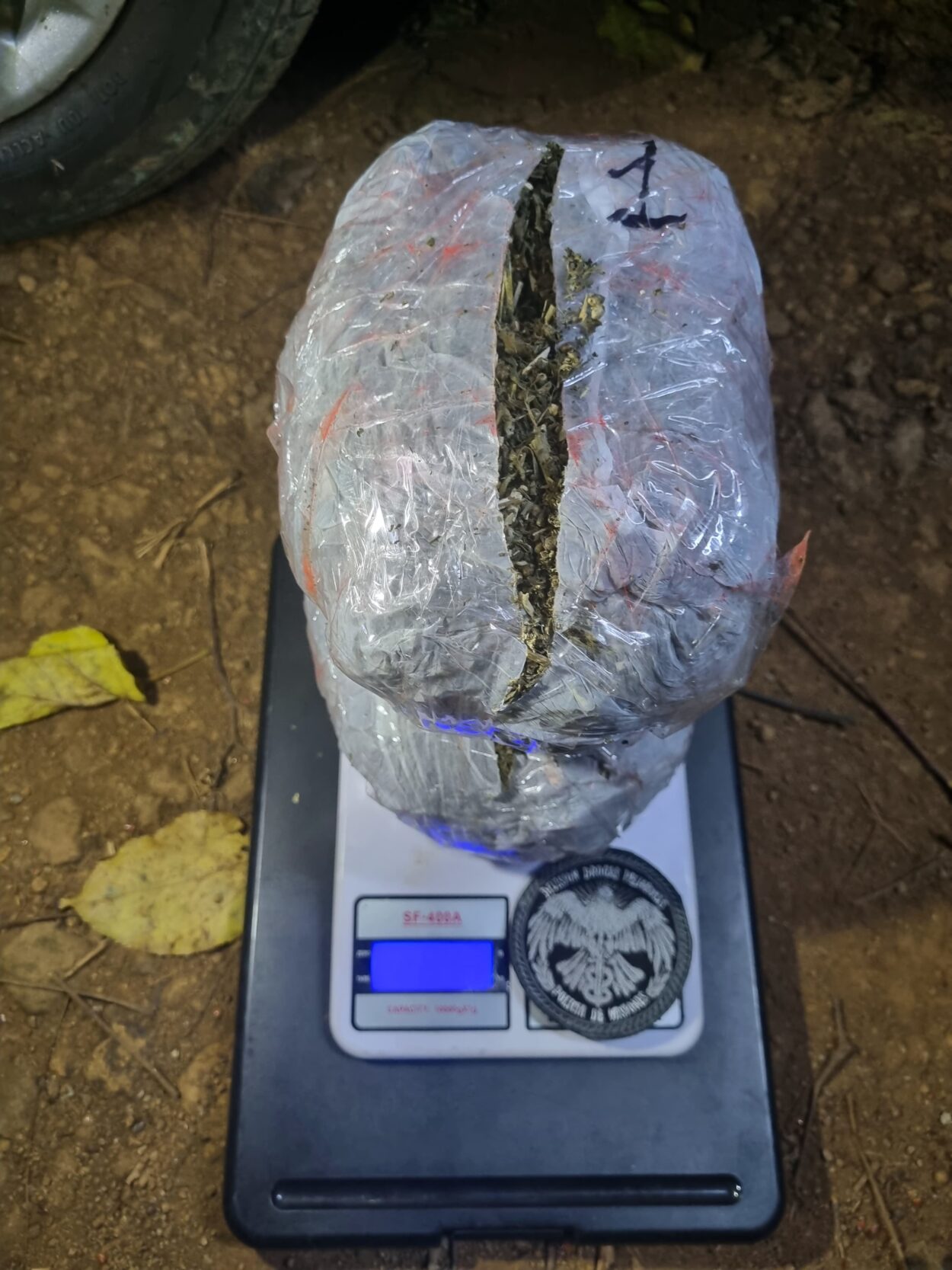 Recorridas rurales permitieron detectar un centro de acopio de marihuana en la ribera del río Uruguay imagen-2