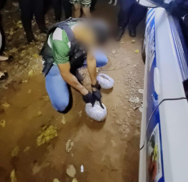 Recorridas rurales permitieron detectar un centro de acopio de marihuana en la ribera del río Uruguay imagen-7