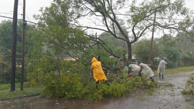 Temporal: la Comuna posadeña implementa operativo integral de asistencia a familias afectadas imagen-46