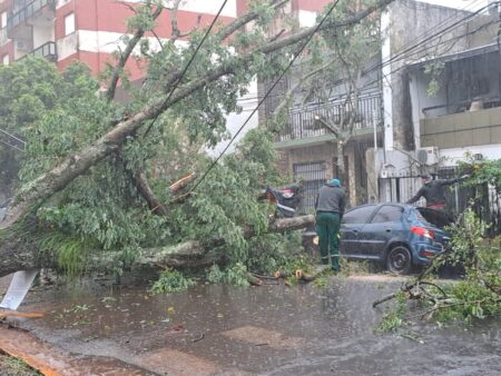 Temporal en Posadas provoca cortes de luz, caída de árboles y calles anegadas imagen-3
