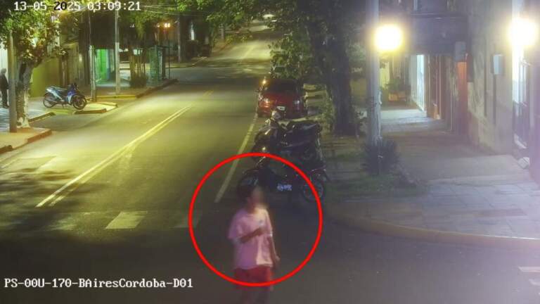 Cámaras del 911 detectaron a un ladrón en pleno robo y una patrulla lo detuvo imagen-18