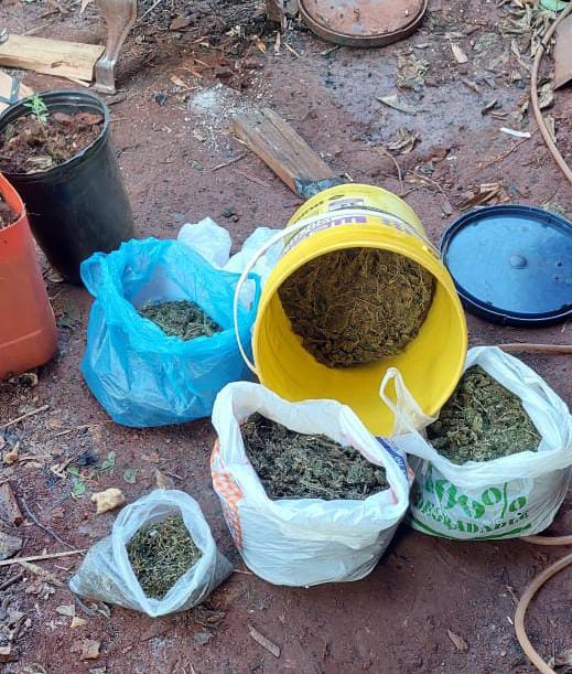 La Policía irrumpió en un bunker de droga, incautó marihuana, armas y detuvo a un narco en San Vicente imagen-8