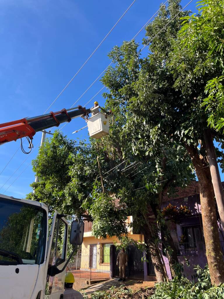 Energía de Misiones continúa trabajando en el Operativo Integral de Poda 2025 imagen-17