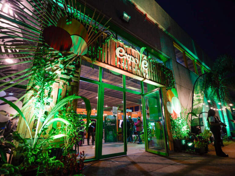 Todo listo para la Expo Té 2025, edición con propuestas productivas, sensoriales y gastronómicas imagen-31