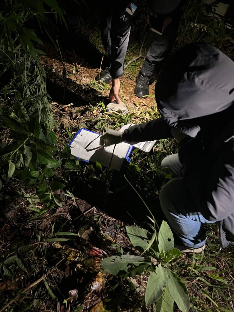 Secuestran droga valuada en $7 millones oculta en una construcción en San Pedro imagen-26