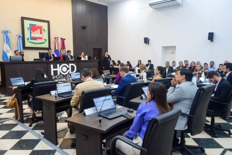 Concejales posadeños aprueban en sesión la creación de centros estratégicos para situaciones de violencia de género imagen-3