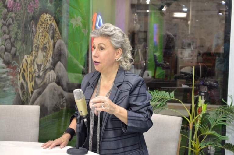 Conexiones Latam: una red que impulsa a mujeres emprendedoras con herramientas prácticas y acompañamiento colectivo imagen-39