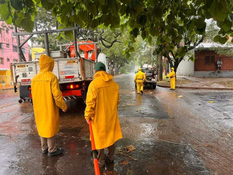 Energía de Misiones ya se encuentra en las calles evaluando daños por la tormenta imagen-11