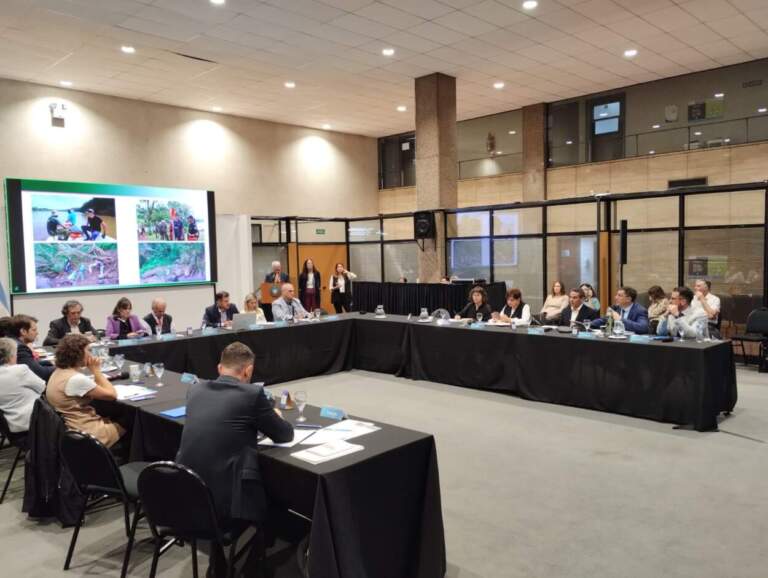 Consejo Federal de Medio Ambiente declaró "de Interés" la reciente edición de la Limpieza Binacional del Río Uruguay imagen-18