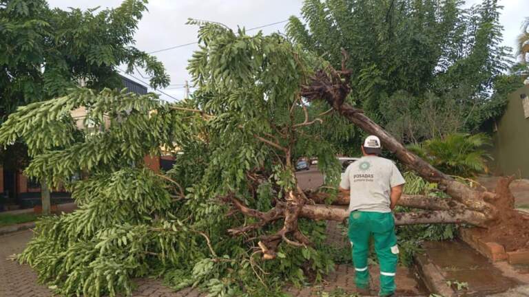 Tras el temporal, el Municipio actuó de inmediato resolviendo los inconvenientes y mantiene asistencia y prevención ante la inestabilidad climática imagen-9