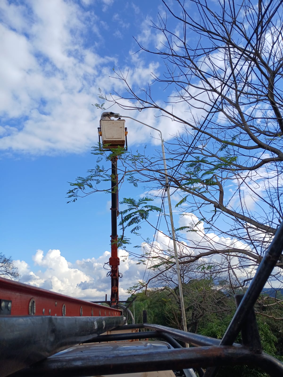 Más alumbrado para Pozo Azul y mejoras en líneas troncales de San Pedro imagen-2