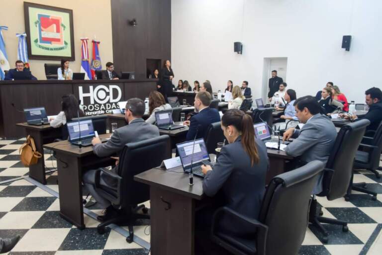 Premios Arandú: concejales posadeños presentaron el jurado para la edición 2024-2025 imagen-29