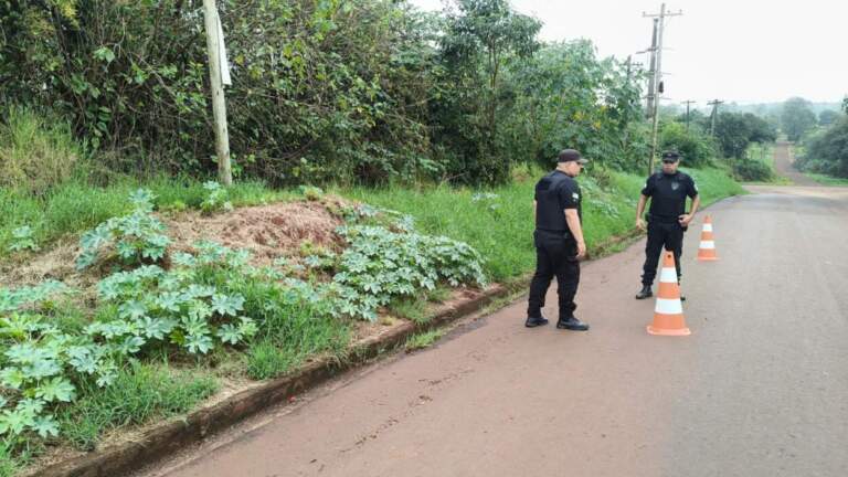 Investigan un presunto robo millonario en la localidad de Wanda imagen-6