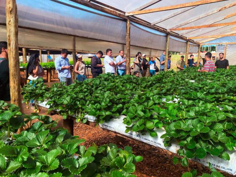 Prácticas y saberes en tecnologías para agricultores y estudiantes imagen-48