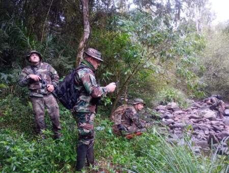 Detectan y desarman trampas de cazadores furtivos en el Parque Provincial Salto Encantado imagen-3