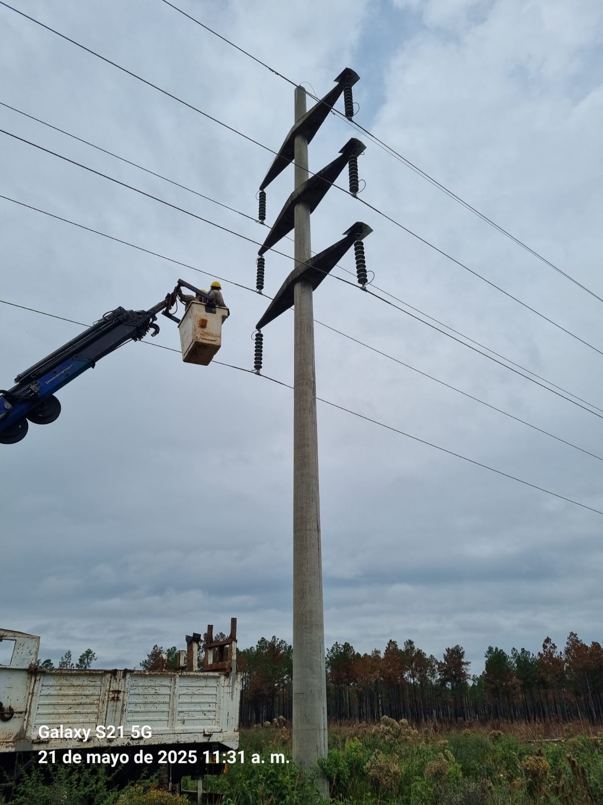 Energía de Misiones protege líneas de alta tensión "con mirada sostenible" imagen-4