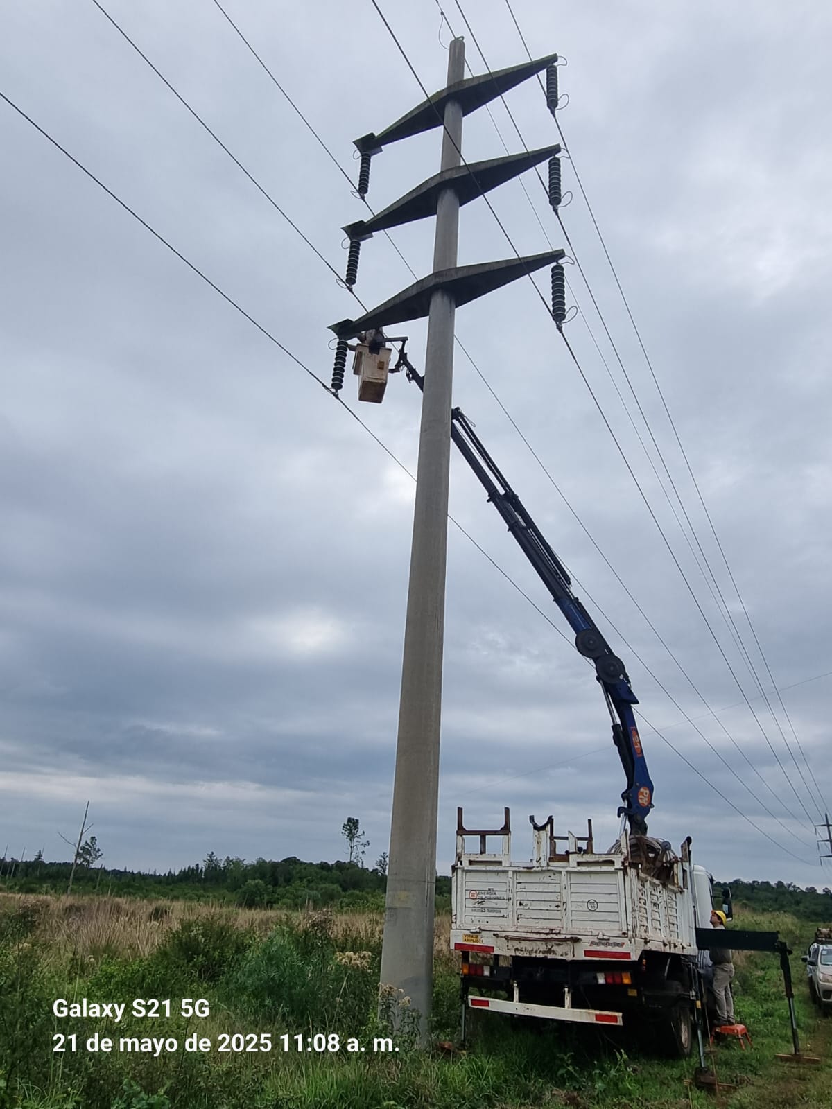 Energía de Misiones protege líneas de alta tensión "con mirada sostenible" imagen-2