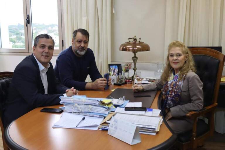 Justicia, Salud y Prevención de Adicciones en la coordinación del trabajo multidisciplinar para aunar criterios sobre internaciones involuntarias Justicia, Salud y Prevención de Adicciones en la coordinación del trabajo multidisciplinar para aunar criterios sobre internaciones involuntarias imagen-40