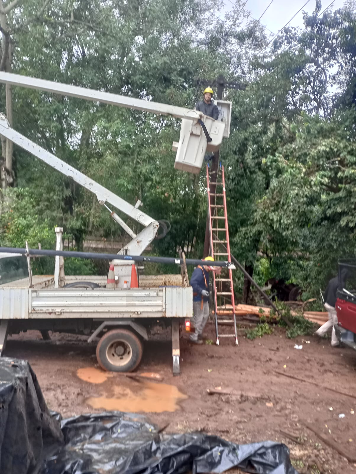 Optimizan el alumbrado público en El Soberbio 3 Optimizan el alumbrado público en El Soberbio imagen-2