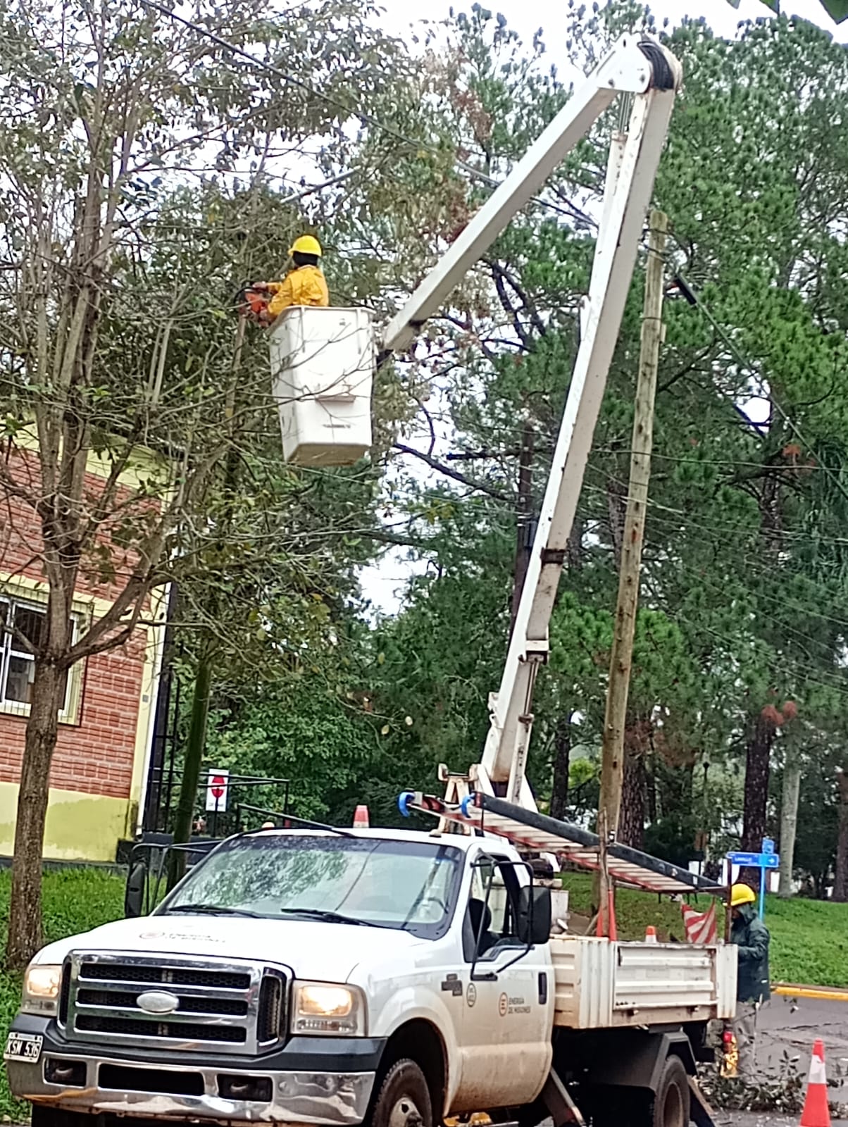 Optimizan el alumbrado público en El Soberbio 11 Optimizan el alumbrado público en El Soberbio imagen-10