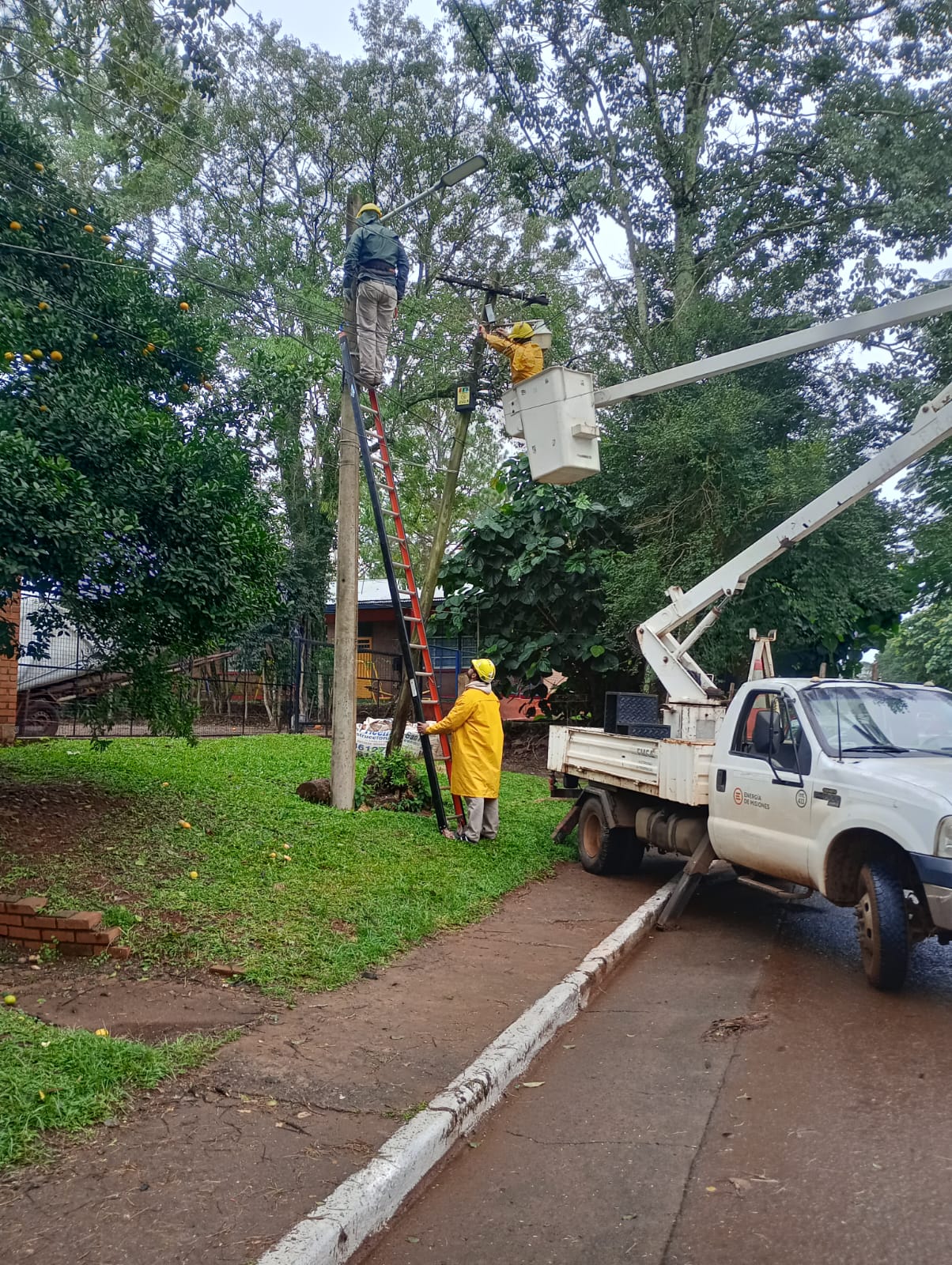 Optimizan el alumbrado público en El Soberbio 13 Optimizan el alumbrado público en El Soberbio imagen-12
