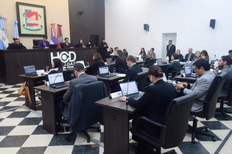 Concejales posadeños concientizan y promueven los derechos de las personas gestantes imagen-6