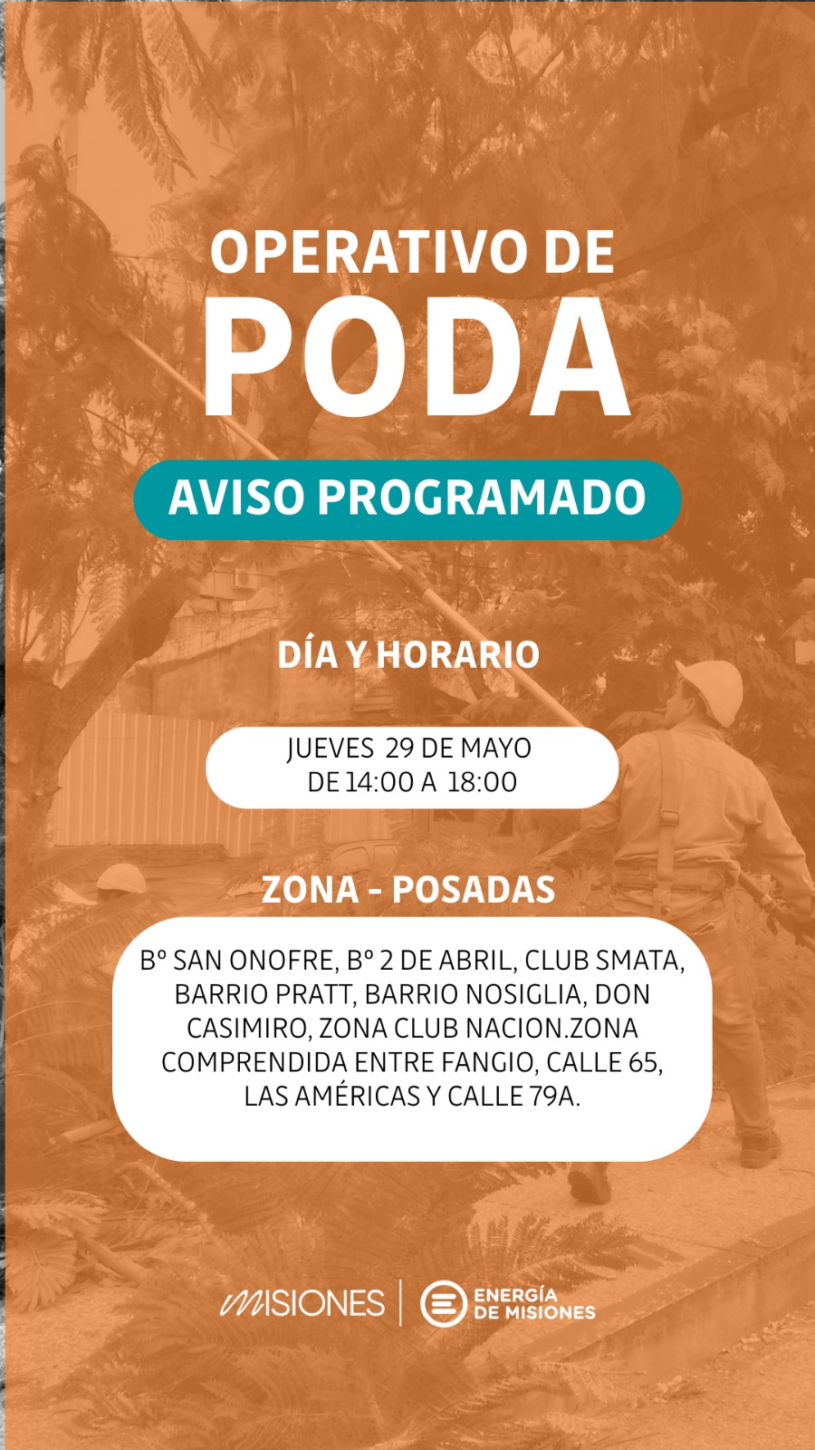 Continúa el operativo de poda en Posadas imagen-4