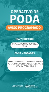 Continúa el operativo de poda en Posadas imagen-2