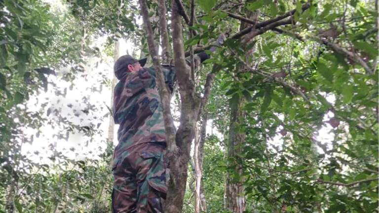 Destruyen trampas de cazadores furtivos colocadas en el Parque Puerto Península imagen-31