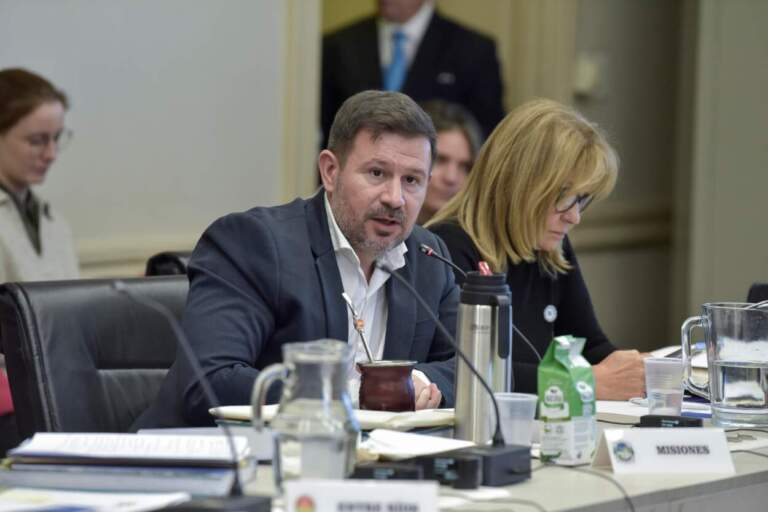 Misiones se destacó por su innovación en la nueva asamblea del Consejo Federal de Educación imagen-9