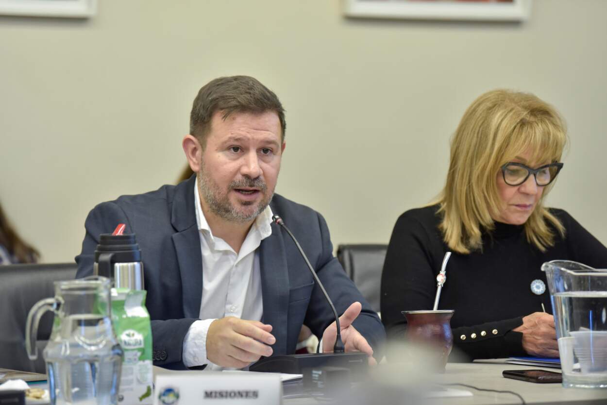 Misiones se destacó por su innovación en la nueva asamblea del Consejo Federal de Educación imagen-4