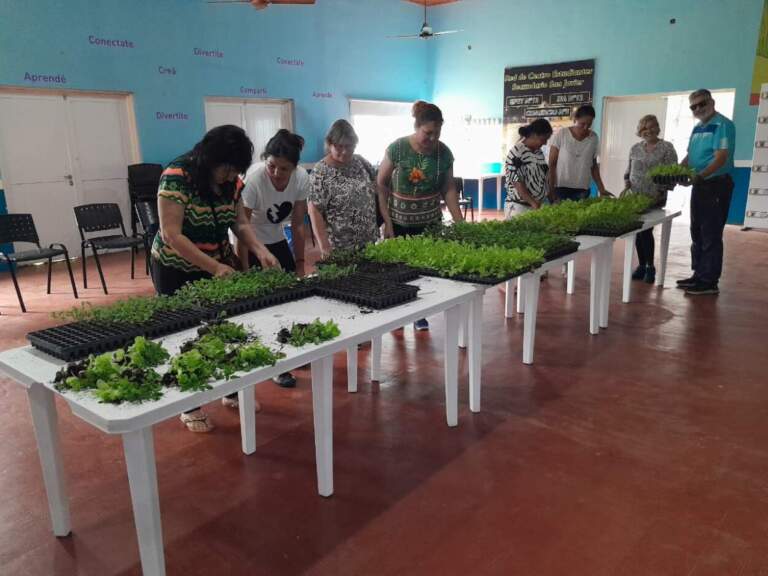 “Crecer San Javier”: el programa que transformó más de 700 hogares y ahora es de interés municipal imagen-19