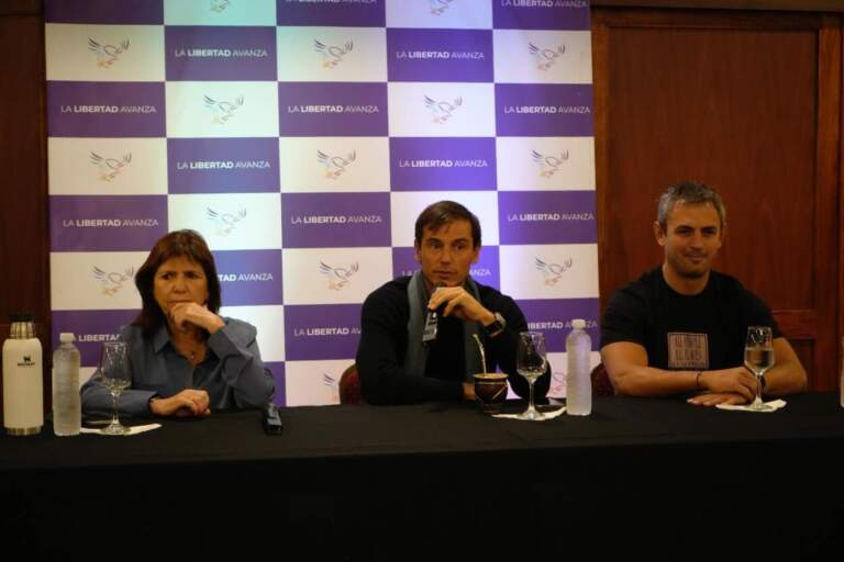 Con Bullrich y Menem en Misiones, Hartfield aclaró su vínculo con el Frente Renovador y apuntó contra los impuestos provinciales imagen-34