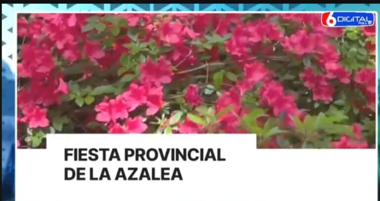 Legislatura instituye la Fiesta Provincial de la Azalea, con sede en Olegario V. Andrade imagen-48
