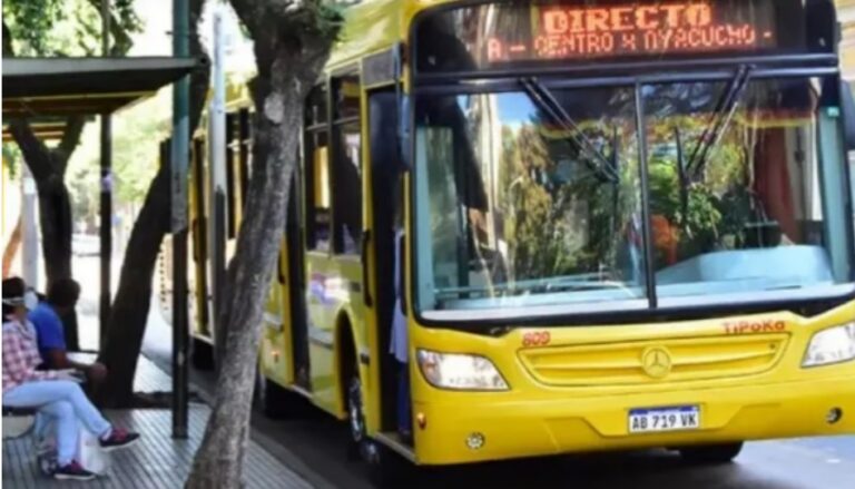 Califican de "ilegítimo" el paro de choferes y denuncian perjuicios ocasionados a pasajeros y empresas imagen-36