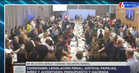 Diputados: el oficialismo consiguió dictamen para bajar la edad de imputabilidad a 14 años Diputados: el oficialismo consiguió dictamen para bajar la edad de imputabilidad a 14 años imagen-5