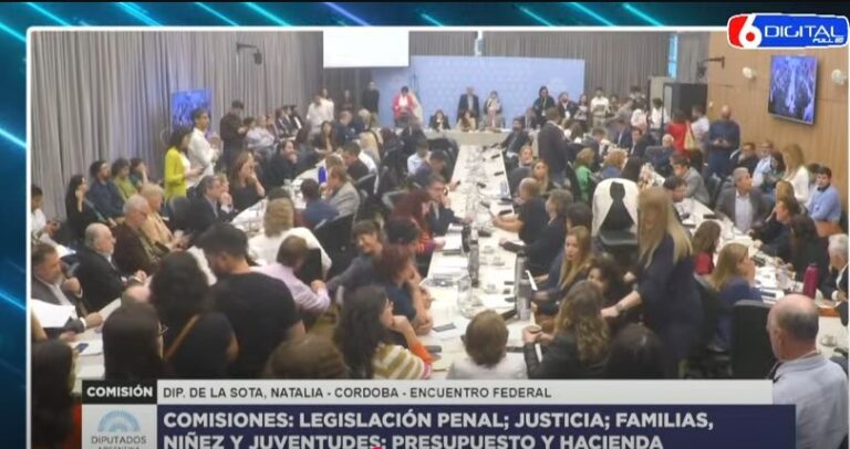 Diputados: el oficialismo consiguió dictamen para bajar la edad de imputabilidad a 14 años imagen-23