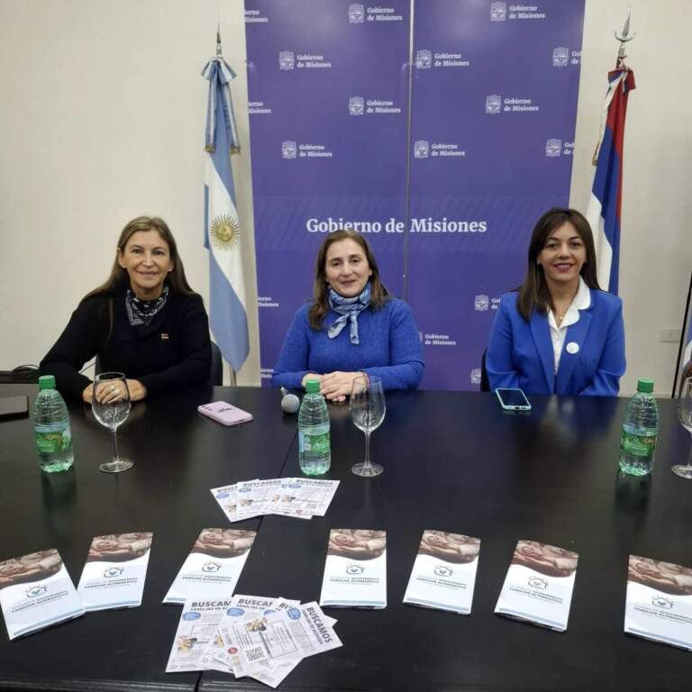 Segunda Convocatoria del Sistema de Acogimiento Familiar Alternativo 2025 se realizará este viernes en Alem imagen-24