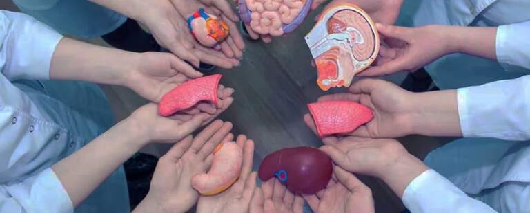 Día Nacional de la Donación de Órganos: más de 7.000 personas esperan un trasplante en Argentina imagen-30