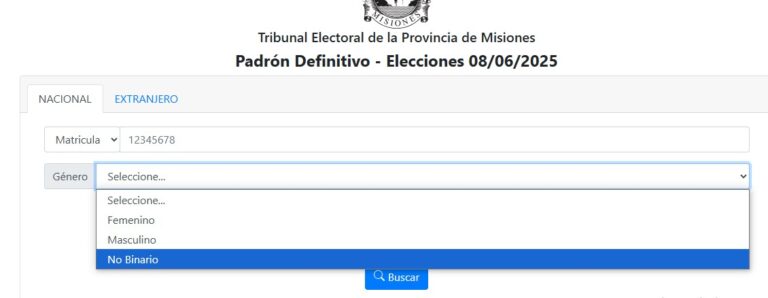 Elecciones 8J: 22 electores no binarios están habilitados a votar en Misiones imagen-35