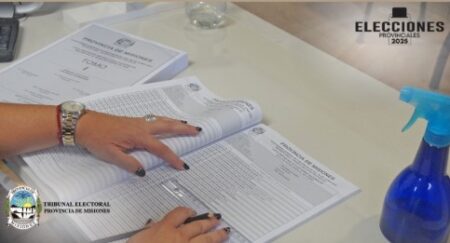 Elecciones 8J: Misiones tiene 22.306 nuevos electores, el Padrón pasó de 979.882 a 1.002.188 sufragantes imagen-5