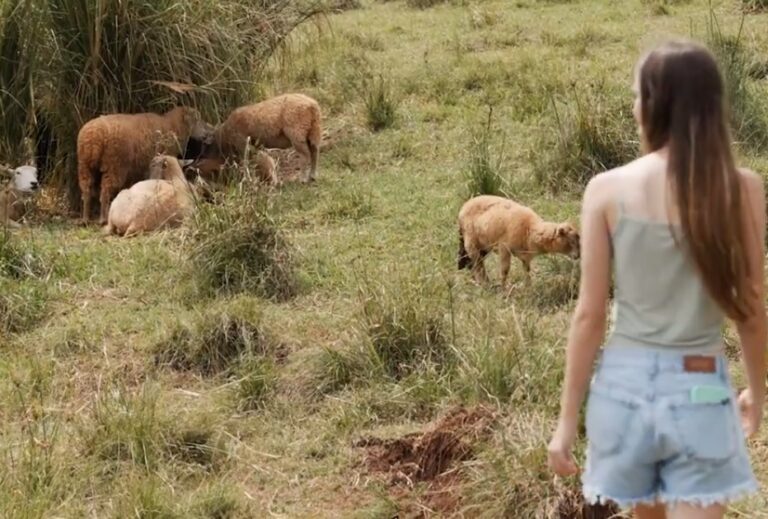 Joven de 25 de Mayo impulsa proyecto para agregar valor a la lana de oveja imagen-4