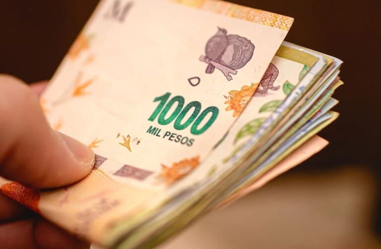 El salario mínimo tiene un poder adquisitivo menor al que tenía durante la crisis del 2001 imagen-50