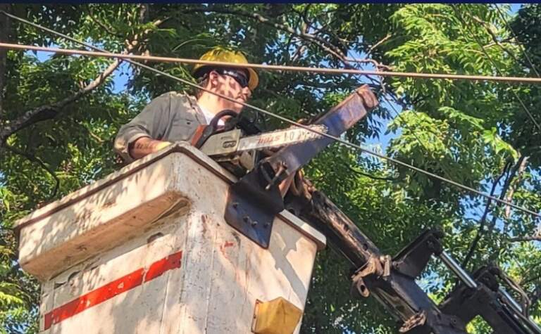 Continúa el operativo de poda en Posadas imagen-21