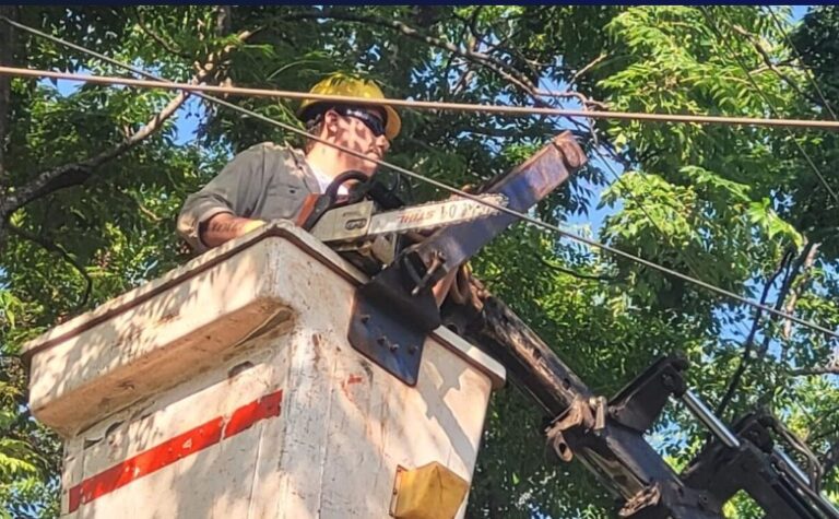 Arranca operativo de poda para despejar infraestructura eléctrica en Posadas imagen-45